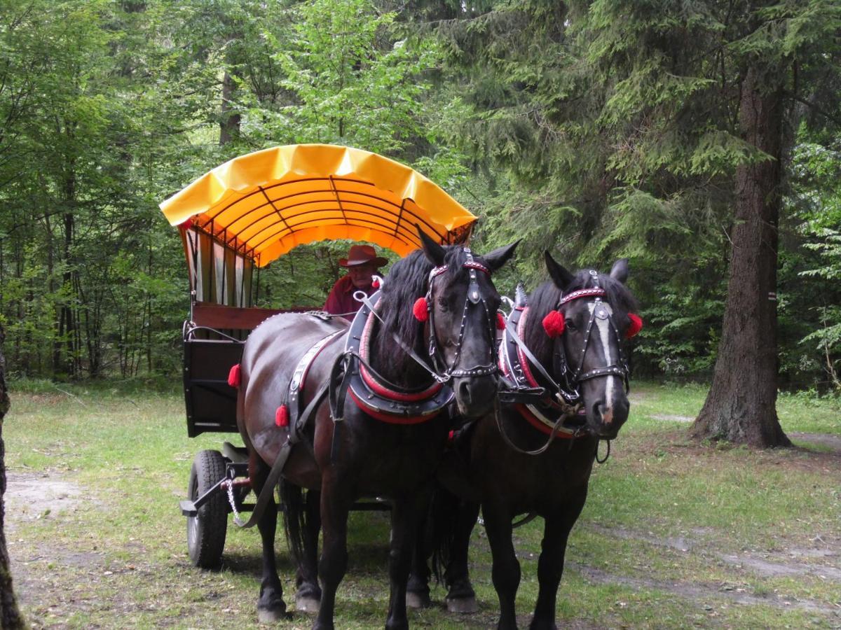 Lodge Zielone Zacisze Hajnowka